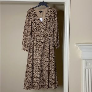 J Crew leopard midi dress